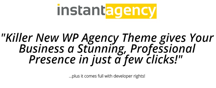 Instant Agency Theme Review