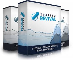 Traffic Revival Review